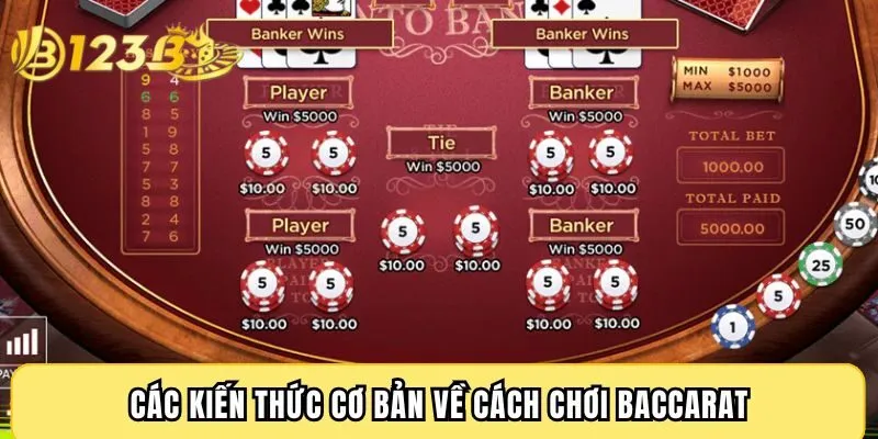 Các kiến thức cơ bản về cách chơi Baccarat