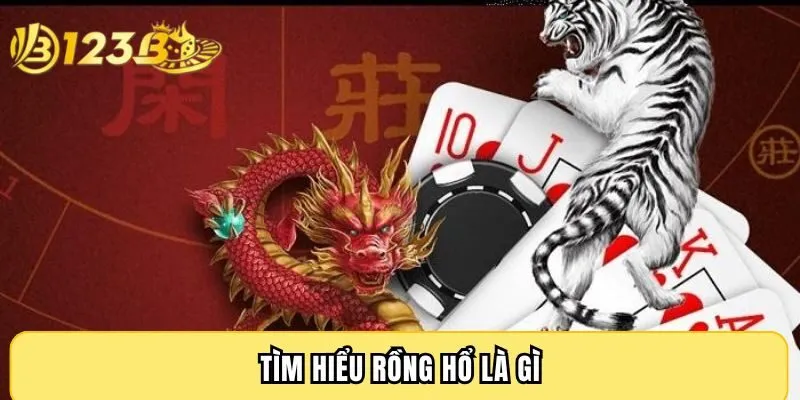 Tìm hiểu Rồng Hổ là gì